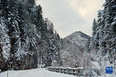 这是12月10日在奥地利下奥地利州一处山区拍摄的雪景。<br/><br/>　　近日，奥地利全境遭遇降雪天气，雪后的奥地利山区风景如画，美不胜收。<br/><br/>　　新华社发（乔治斯·施耐德 摄）