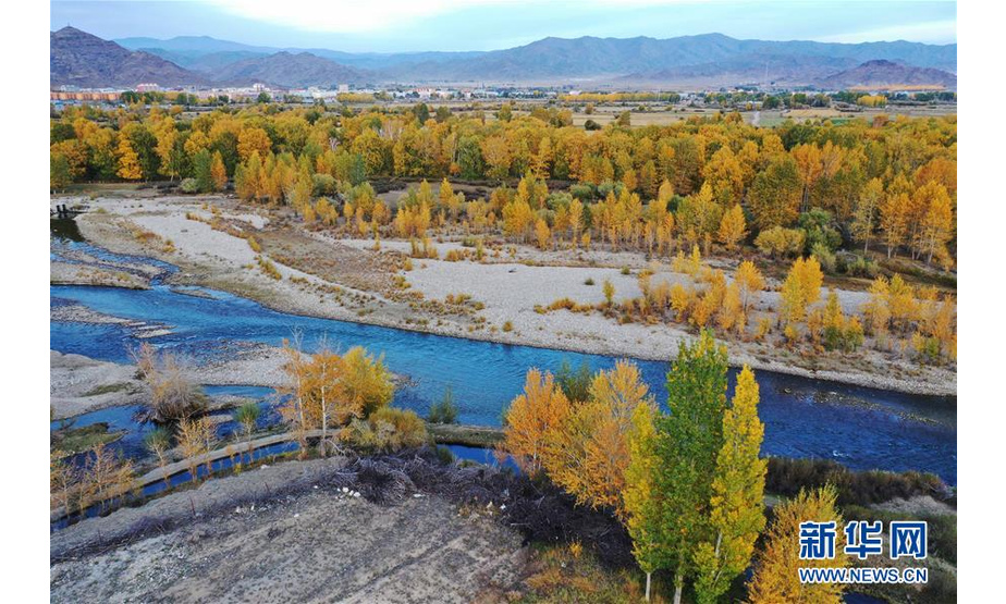 这是在新疆阿勒泰地区青河县境内拍摄的景色（9月20日摄，无人机照片）。 金秋时节，在新疆阿勒泰地区青河县，漫山遍野的树林色彩绚丽，美不胜收。 新华社记者沙达提摄