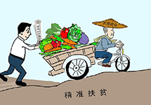 泰来县产业扶贫带动精准扶贫“新思维”