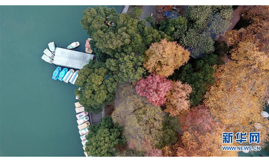 12月10日，游船停靠在湖南烈士公园年嘉湖湖畔（无人机拍摄）。新华社记者 陈泽国 摄