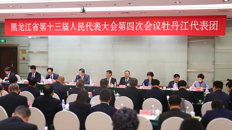 各代表团分组审议政府工作报告