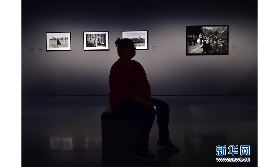 5月21日，在德国杜塞尔多夫艺术宫博物馆，一名参观者观看女战地摄影师作品展。 新华社记者逯阳摄