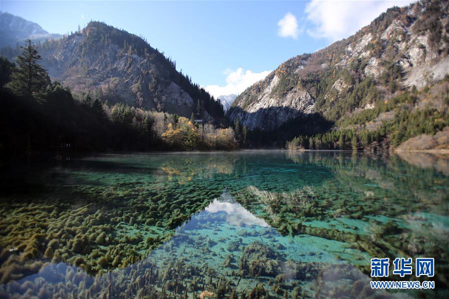 11月7日在九寨沟景区拍摄的景色。当日，四川省阿坝藏族羌族自治州的九寨沟景区内艳阳高照，风景醉人。九寨沟景区经过地震重建后，于今年9月27日恢复开放85%的区域，“补妆”归来，美丽依旧。 新华社记者 李梦馨 摄