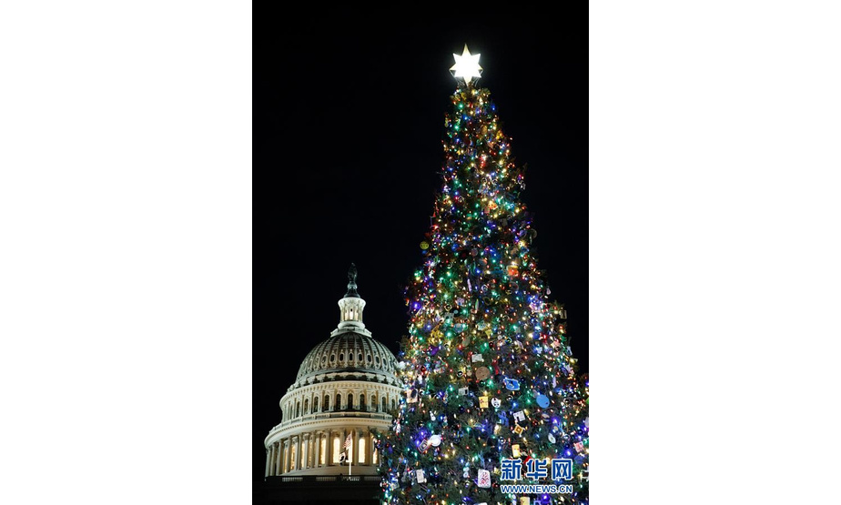 这是12月4日在美国华盛顿拍摄的国会大厦和国会圣诞树。 美国国会圣诞树点亮仪式4日举行。 新华社发（沈霆摄）