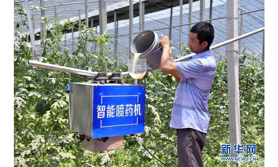 7月16日，在潍坊市寒亭区郭牌农业种植示范园，工作人员在给智能喷药机加药。 新华社记者 郭绪雷 摄