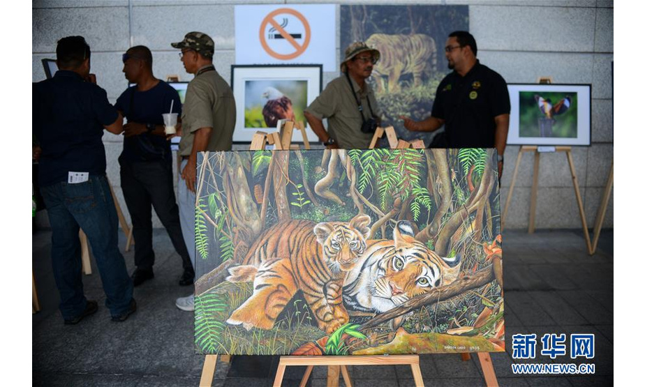 这是3月17日在马来西亚吉隆坡拍摄的马来虎主题绘画作品。 新华社发（张纹综摄）