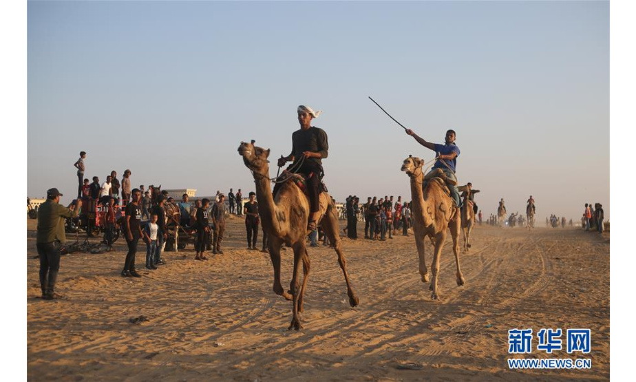 10月20日，在加沙地带南部拉法，人们参加骆驼赛跑。 新华社发（哈立德·奥马尔 摄）