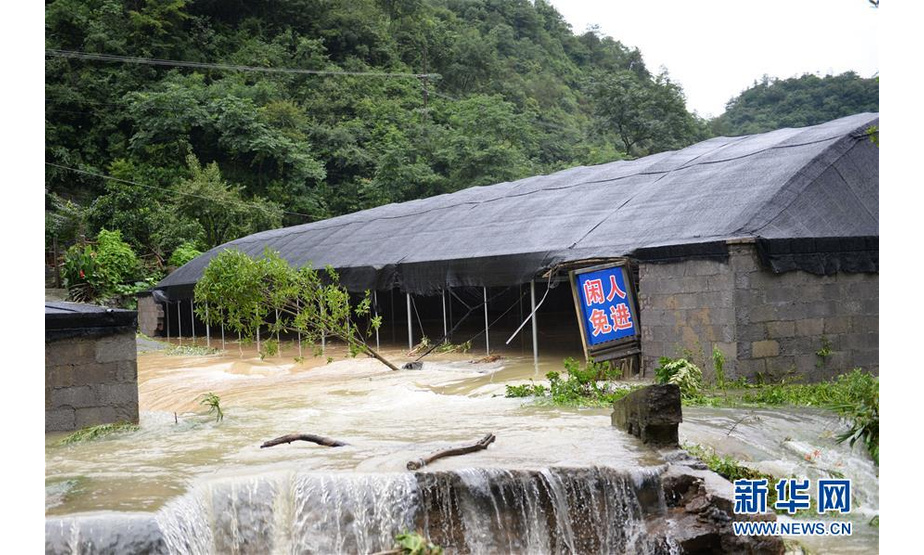 7月6日，在澧县甘溪滩镇，一处养殖场遭受洪水侵袭。 近日，湖南省常德市澧县出现强降雨天气，造成部分地区农田被淹。 新华社发（陈振海 摄）
