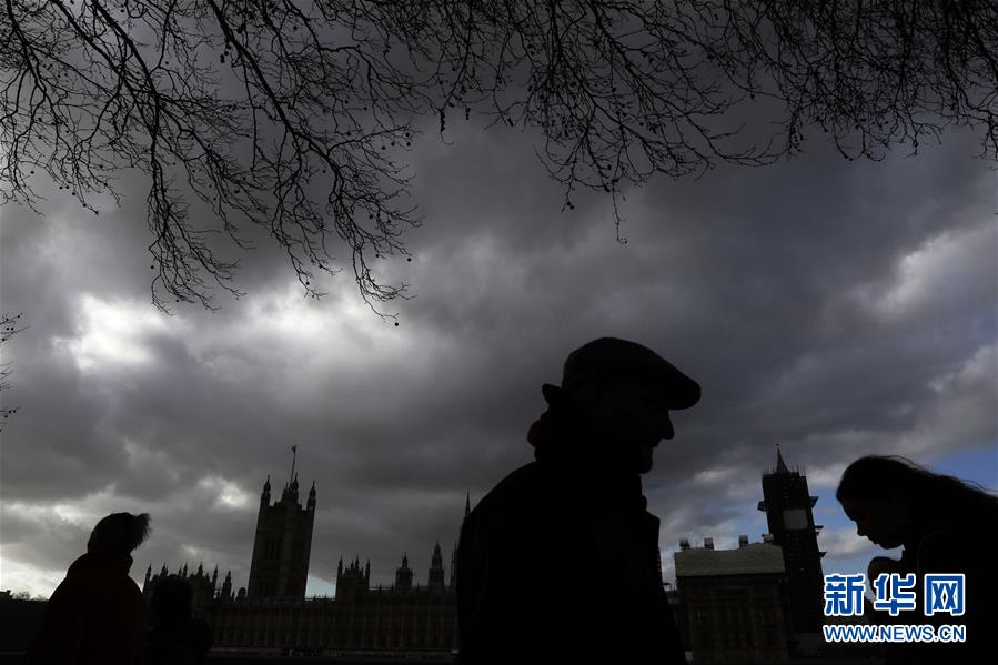 2月1日，在英国伦敦，人们从议会大厦前走过。新华社发（蒂姆·爱尔兰摄）