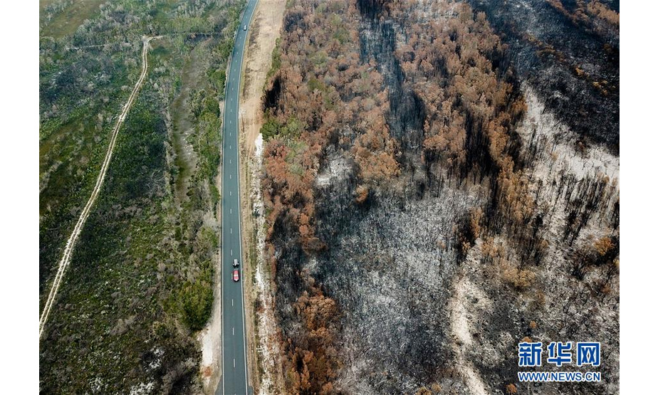 这是2019年11月11日拍摄的澳大利亚新南威尔士州麦夸里港附近的过火林地。2019年中至2020年初，持续半年左右的澳大利亚森林火灾过火面积约1200万公顷，超过10亿只动物丧生，造成严重的环境灾难。 6月5日是第47个联合国世界环境日，今年的主题为“关爱自然 刻不容缓”。 新华社记者 白雪飞 摄
