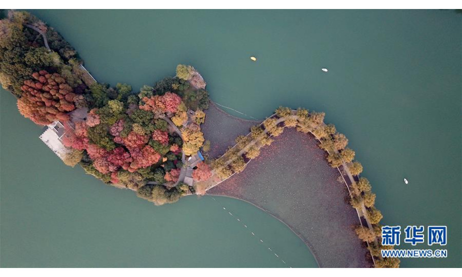 12月10日，小船在湖南烈士公园年嘉湖湖面行驶（无人机拍摄）。新华社记者 陈泽国 摄