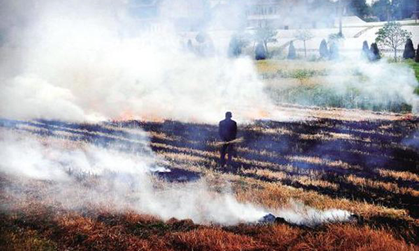 黑龙江省24小时全天候巡查严禁露天秸秆焚烧
