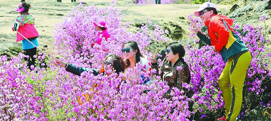 //www.hljpic.cn/600215b5fe63e5d20d15b2def4683453?p=0