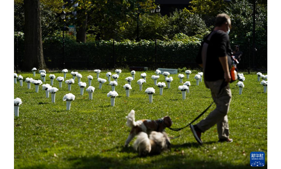 10月8日，一名男子从美国纽约炮台公园内为悼念枪支暴力遇难者摆放的白色瓶花旁走过。

　　据主办方介绍，这个由1050个白色瓶花组成的大型纪念装置旨在悼念2020年在纽约州死于枪支暴力的1050名受害者，呼吁政府针对枪支暴力采取行动。

　　新华社记者 王迎 摄