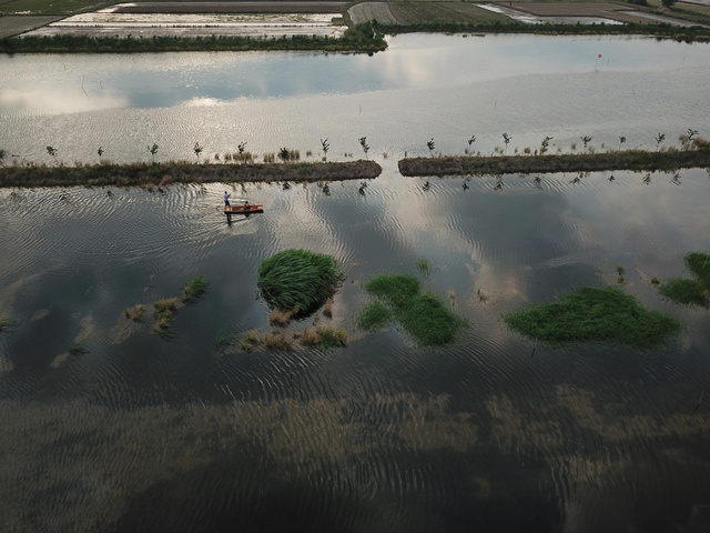 世界杯球迷喜欢吃什么味道的小龙虾?麻辣味势