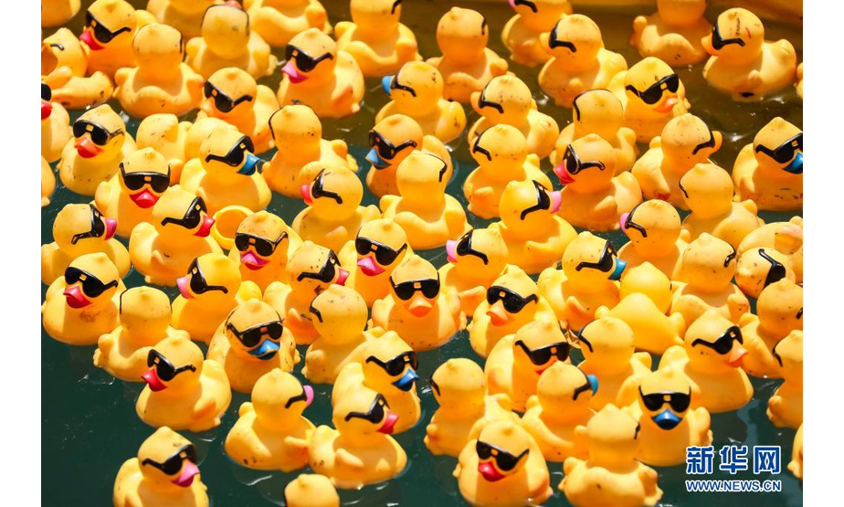 这是8月5日在美国芝加哥市拍摄的河里漂浮的“小黄鸭”。

　　当日，芝加哥举行2021年度“小黄鸭”慈善竞赛，7万只橡胶鸭玩具被倒入芝加哥河参与漂流竞速，活动所筹款项将用于资助伊利诺伊州特奥会。

　　新华社发（乔尔·莱纳摄）