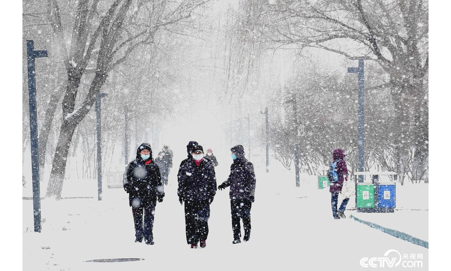 央视网消息：3月4日，黑龙江哈尔滨，市民在雪中出行。当日，哈尔滨迎来降雪天气。（吴胡荼 摄）