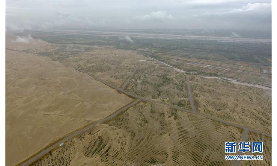 从空中俯瞰且末县车尔臣河以东的防沙治沙绿色长廊（8月21日无人机拍摄）。新华社记者 赵戈 摄
