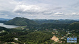 这是8月6日拍摄的泰国岗卡章森林保护区（无人机照片）。<br/><br/>　　在中国福州举行的第44届世界遗产大会上，泰国岗卡章森林保护区被列入联合国教科文组织《世界遗产名录》。<br/><br/>　　新华社记者 王腾 摄