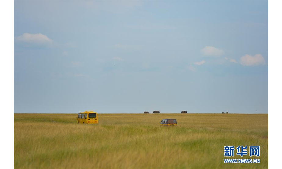6月17日，肯尼亚当地学生在马赛马拉国家保护区乘坐校车参观学习。 新华社记者 李琰 摄