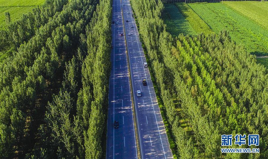 图为8月15日无人机拍摄的河北省枣强县恩察镇北大屯村附近的乡村公路。 近年来，河北省枣强县大力实施城乡道路畅通工程，按照“建好、管好、护好、运营好”要求，积极推进农村公路建设和维护。目前，枣强县公路总里程达1758公里，公路密度达到每百平方公里212公里，给当地老百姓生活带来便利，并带动农产品外销，加快了乡村振兴步伐。 新华社记者 李晓果 摄