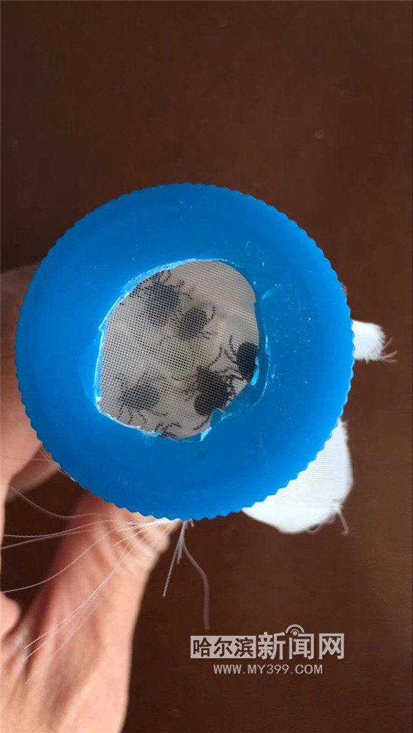 揭秘哈市草爬子的前世今生