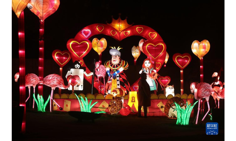 1月12日，游客在比利时安特卫普动物园参观第六届“中国花灯节”。

　　近日，比利时安特卫普动物园举行的第六届“中国花灯节”吸引了周边地区的大批游客。此次花灯节以欧洲童话“爱丽丝梦游仙境”为主题，由中外艺术家合作设计制造的130件大型花灯装置将安特卫普动物园装扮成了奇幻的童话世界。

　　新华社记者 郑焕松 摄