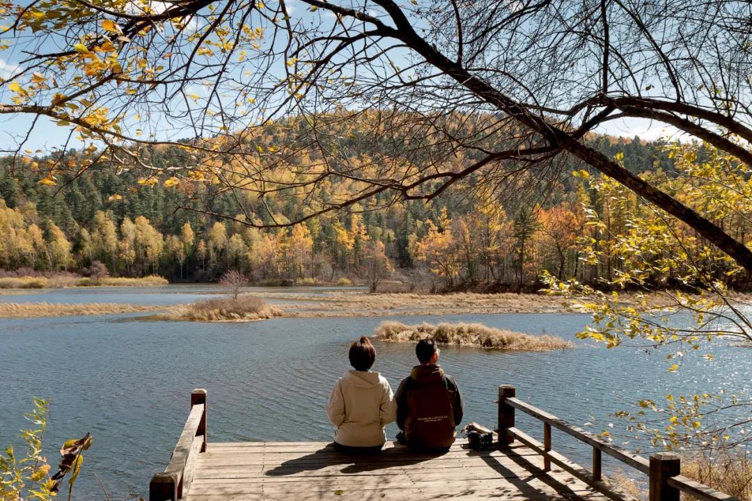 赏秋。孙岳胤摄