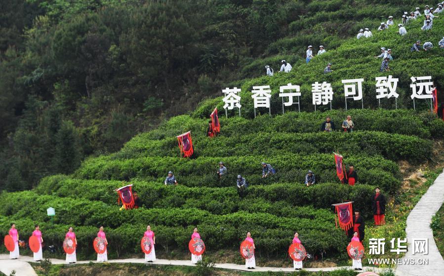 3月18日在大足区古龙镇忠义村拍摄的开茶仪式。新华社记者 王全超 摄
