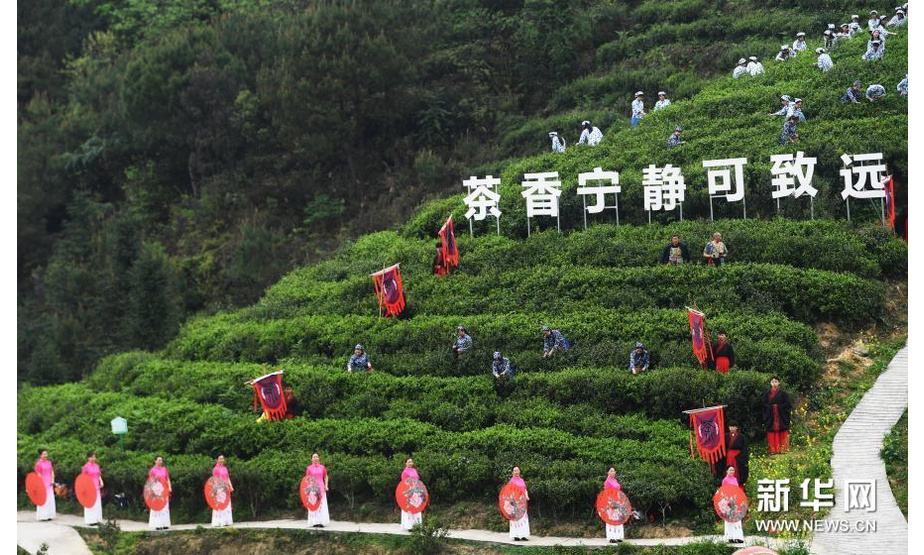 3月18日在大足区古龙镇忠义村拍摄的开茶仪式。新华社记者 王全超 摄