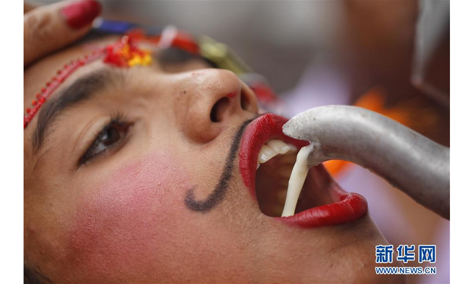 8月16日，在尼泊尔加德满都，一名男孩在参加神牛节游行时饮用牛奶。新华社发（苏拉韦尔·什雷斯塔摄）