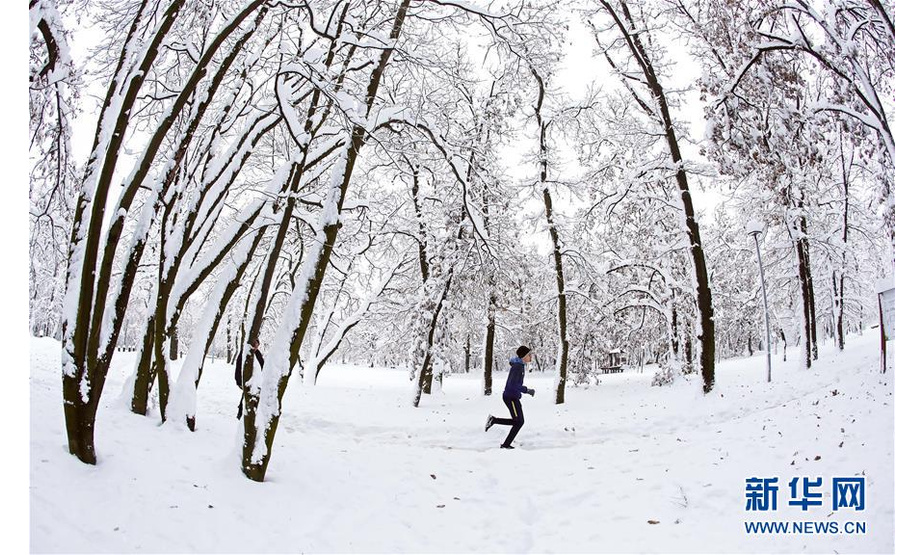 12月16日，在塞尔维亚贝尔格莱德，一名男子在雪后的公园奔跑。新华社发（米洛萨夫列维奇摄）