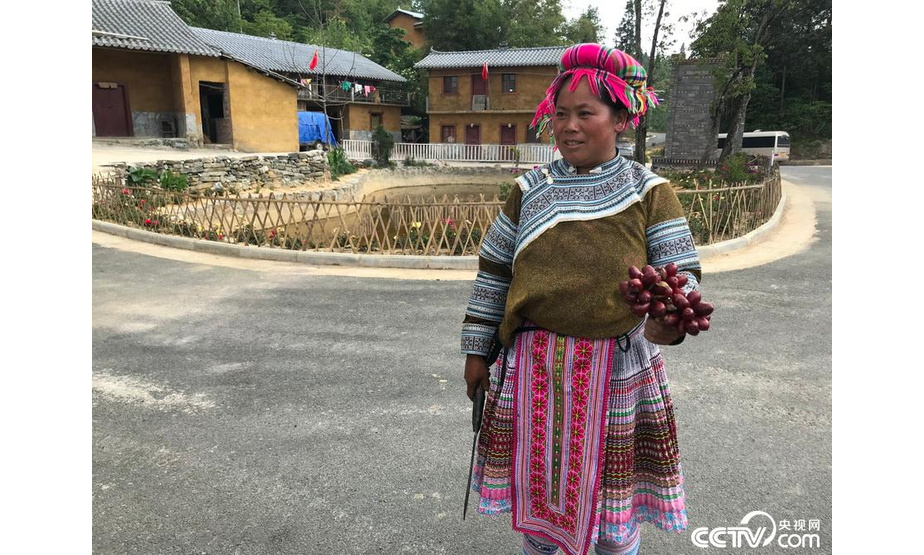杨正芬一家曾是云南马关县罗家坪村的贫困户。后来，她在村里养鸡、养猪、种草药，现在她家每年收入能达到2万元,实现了脱贫。
