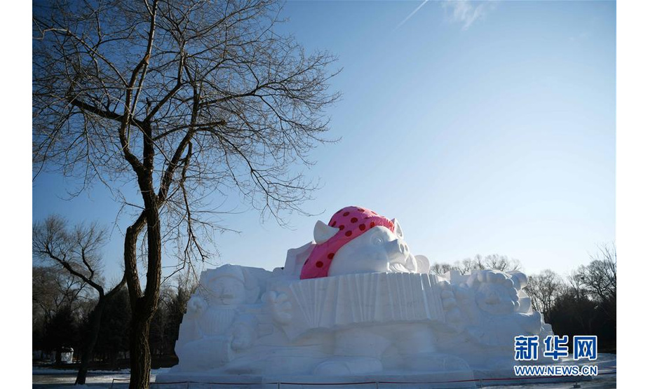 12月17日拍摄的“欢乐金猪”主题雪雕。 日前，“欢乐金猪”主题雪雕在哈尔滨太阳岛雪博会园区亮相。这个为迎接农历猪年到来制作的雪雕由三只“翩翩起舞”的小猪组成，高12米、长22米。 新华社记者王建威摄