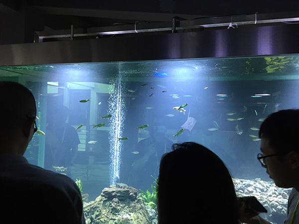 大江奔流·全景日记|长江生态好不好,鱼说了算