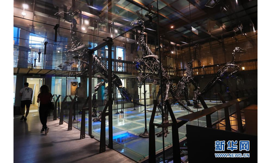 9月15日，在比利时布鲁塞尔的比利时皇家自然科学博物馆，人们经过禽龙骨骼展区。新华社记者 郑焕松 摄