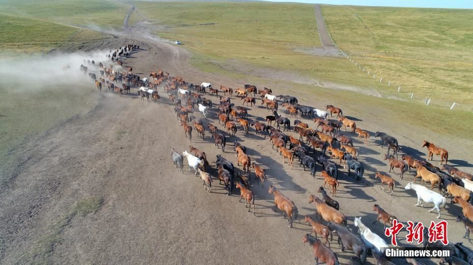 深秋时节，世界最“老”的马场，也是目前世界上最大的马场，公元前121年，由西汉骠骑将军霍去病始创的甘肃山丹马场现万马奔腾的壮观场面。王超 摄