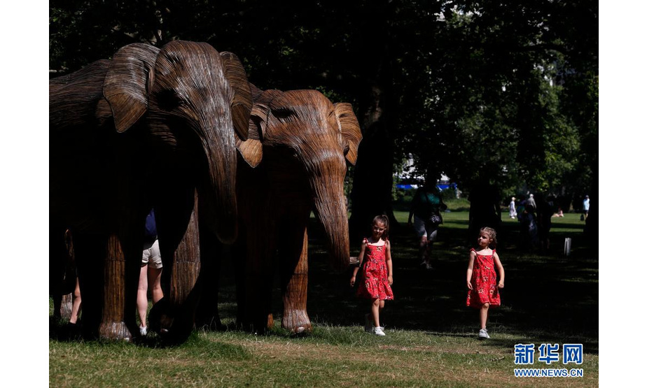 7月20日，两名小女孩在英国伦敦的绿园内游览。

　　连日来，英国伦敦天气晴好，气象局连续发布高温预警，本年度高温纪录多次被打破。

　　新华社记者 韩岩 摄