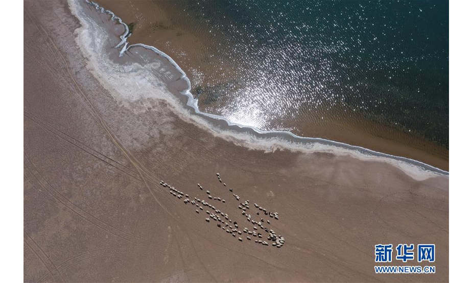 5月31日，羊群在巴丹吉林沙漠音德日图湖湖畔休憩（无人机照片）。

　　内蒙古自治区巴丹吉林沙漠腹地分布着形状各异的湖泊。湖泊点缀黄沙之中，成为别致的风景。

　　新华社记者 徐钦 摄
