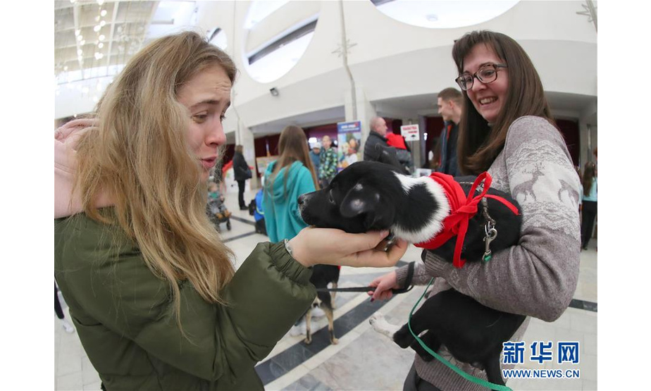 1月18日，在白俄罗斯首都明斯克，一名女子抚摸宠物狗。 新华社发（任科夫摄）