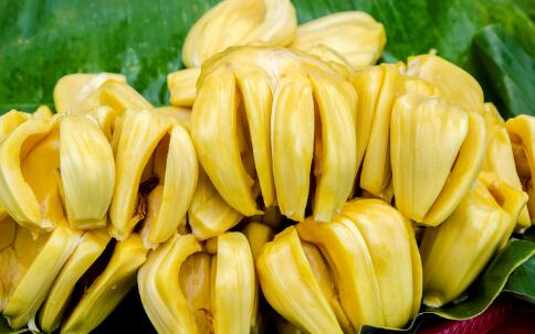 减肥可以吃菠萝蜜吗 每天吃多少合适