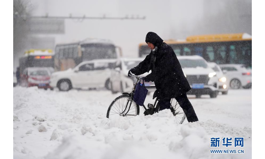 11月19日，在哈尔滨市中山路，市民在雪中推车行走。

　　当日，黑龙江省多地遭遇暴雪天气。上午7时，黑龙江省气象局将气象灾害（暴雪）Ⅳ级应急响应提升为Ⅱ级。

　　新华社记者 王建威 摄