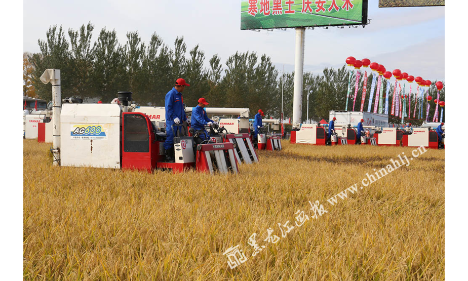 来自全省十二个地市和农垦总局的农机和选手，举行了一场别开生面的农业生产竞赛。黑龙江画报记者 石启立 摄