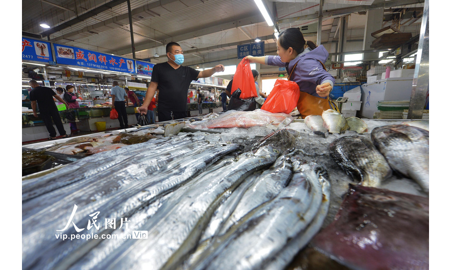 2020年9月14日，黄渤海伏季休渔结束两周，山东省青岛市城阳区海鲜市场摆满各种新鲜海鱼、螃蟹、贝类等海产。随着秋捕产量提高，各类海鲜价格逐渐回落，吸引不少消费者前来购买尝鲜。王海滨/摄