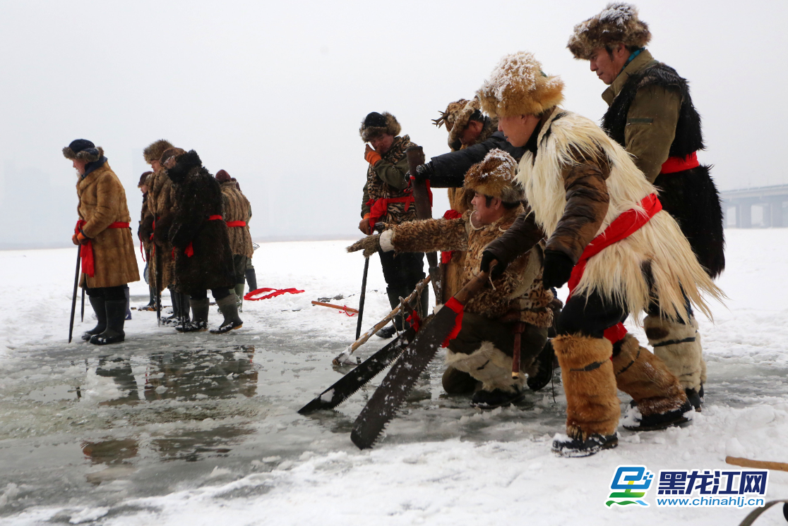 中国冰城哈尔滨每年冬季都见证中国最大规模的采冰活动，在北风呼啸、光滑如镜的松花江上，每天近千名采冰工人一起作业，取冰场面十分壮观。王铁男 摄