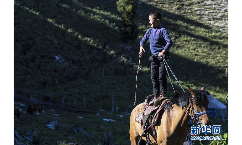 在新疆特克斯县境内的夏牧场里，一名小朋友站在马背上玩耍（6月30日摄）。新华社记者 王菲 摄