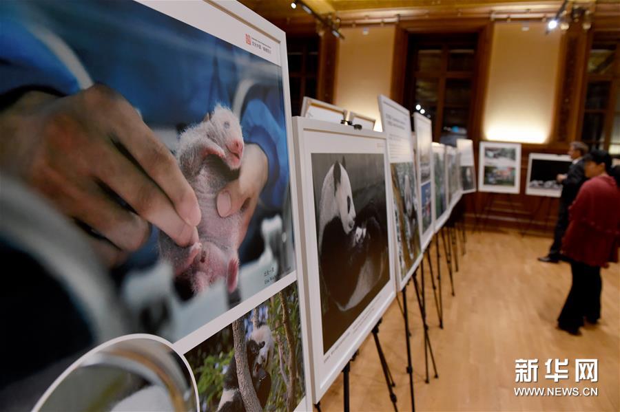 10月9日，在奥地利首都维也纳“文化中国、锦绣四川”四川文化旅游展示会上，人们观看图片展。新华社记者 郭晨 摄