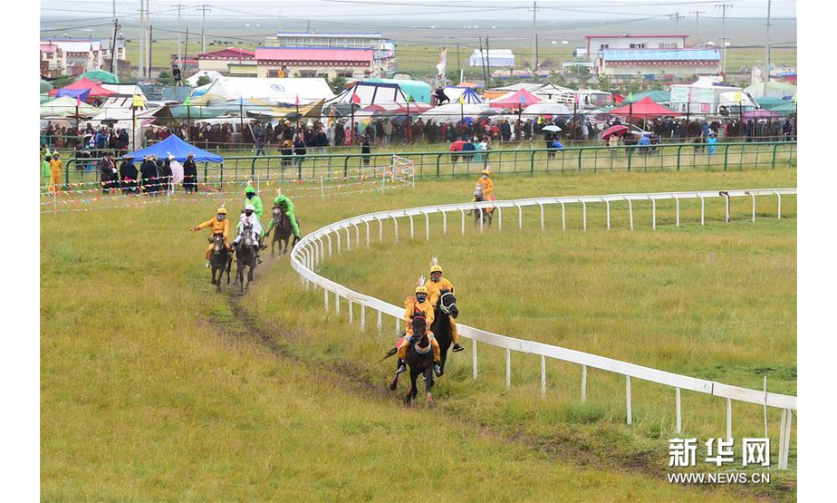8月13日，骑手在2000米专业速度赛马比赛中。 当日，第十二届格萨尔赛马节在甘肃省甘南藏族自治州玛曲县拉开帷幕。本届赛马节为期6天，共有来自西藏、青海、内蒙古、四川、甘肃等省区的52支队伍900多匹赛马参加速度赛和耐力赛等项目的比赛，期间还将举办草原音乐节、马术表演、民间弹唱等活动。 新华社记者 马晶 摄
