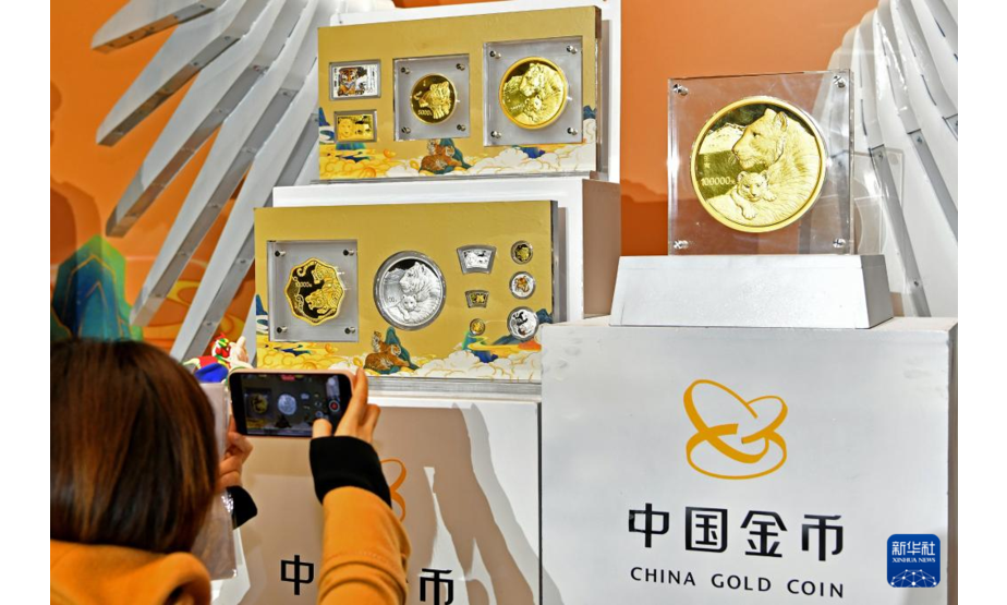 11月18日，在北京举行的2022中国壬寅（虎）年金银纪念币品鉴会上，与会者拍摄现场展示的纪念币。当日，中国人民银行发行2022中国壬寅（虎）年金银纪念币一套。该套金银纪念币共13枚，其中金质纪念币8枚，银质纪念币5枚，均为中华人民共和国法定货币。新华社记者 李鑫 摄