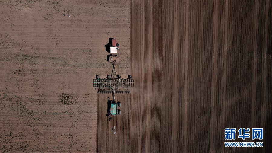 在哈萨克斯坦阿克莫拉州阿克莫尔村，农民进行小麦春播作业（2020年5月30日无人机拍摄）。 新华社发（奥斯潘诺夫摄）